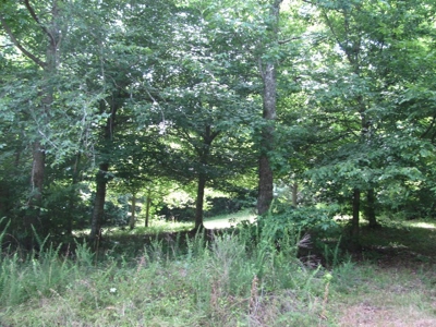 Off The Grid Tn Farm Solar Power, Barn, Cottage, Well, Pond - image 38