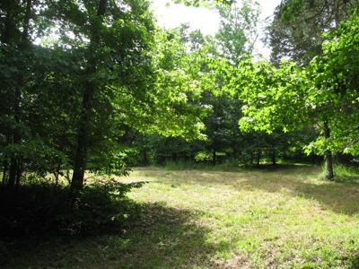 Off The Grid Tn Farm Solar Power, Barn, Cottage, Well, Pond - image 41
