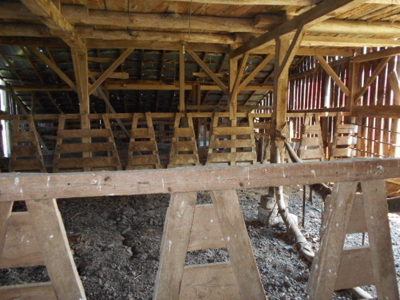 Farm House on 68 Acres for Sale in Southern Missouri - image 6