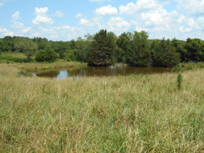 Farm House on 68 Acres for Sale in Southern Missouri - image 9
