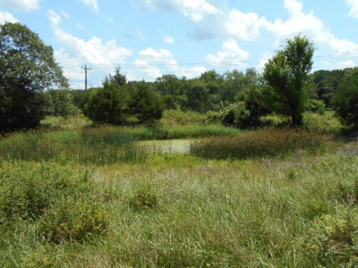 Farm House on 68 Acres for Sale in Southern Missouri - image 13