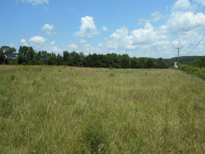 Farm House on 68 Acres for Sale in Southern Missouri - image 14