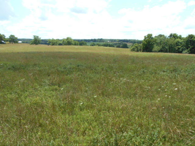 Farm House on 68 Acres for Sale in Southern Missouri - image 17