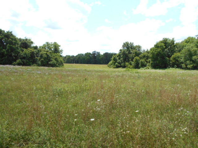 Farm House on 68 Acres for Sale in Southern Missouri - image 18