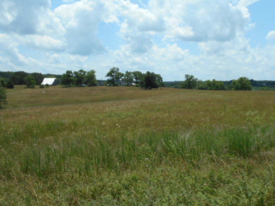 Farm House on 68 Acres for Sale in Southern Missouri - image 19