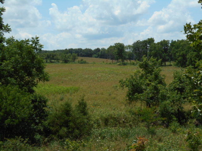 Farm House on 68 Acres for Sale in Southern Missouri - image 20