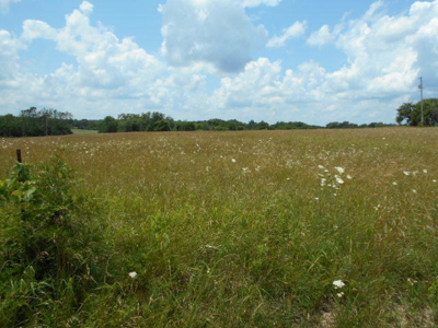 Farm House on 68 Acres for Sale in Southern Missouri - image 21