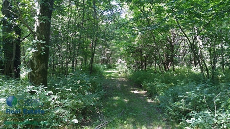 Mark Twain Lake Getaway - image 6