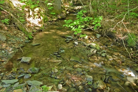 Maine Log Home for Sale in Fort Kent - image 26