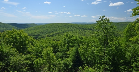 Maine Log Home for Sale in Fort Kent - image 29