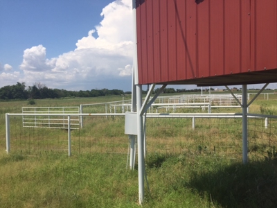 Home, Land, Roping Arena For Sale Grant County Oklahoma - image 21