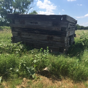 Home, Land, Roping Arena For Sale Grant County Oklahoma - image 24