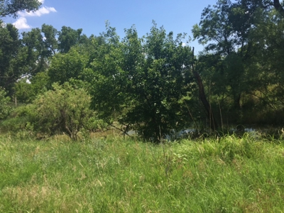 Home, Land, Roping Arena For Sale Grant County Oklahoma - image 25