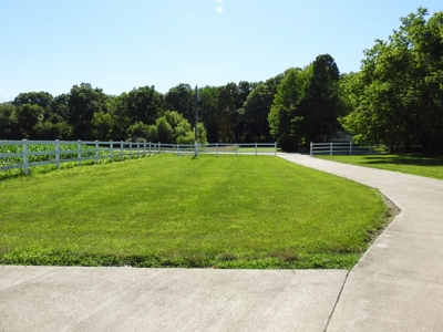 Herrmann Estate Auction - image 15