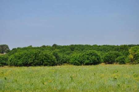 790 +/- Acres Premier Kansas Grassland Ranch For Sale - image 3
