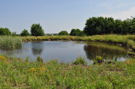 790 +/- Acres Premier Kansas Grassland Ranch For Sale - image 6
