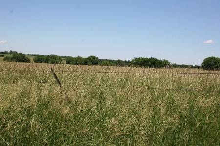 790 +/- Acres Premier Kansas Grassland Ranch For Sale - image 17