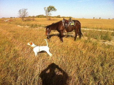790 +/- Acres Premier Kansas Grassland Ranch For Sale - image 16