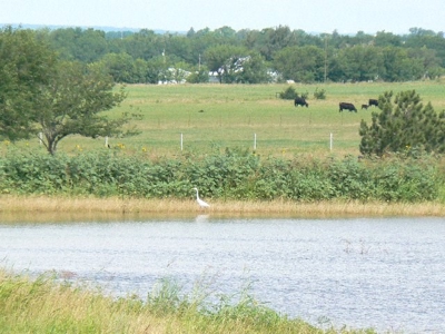 790 +/- Acres Premier Kansas Grassland Ranch For Sale - image 21