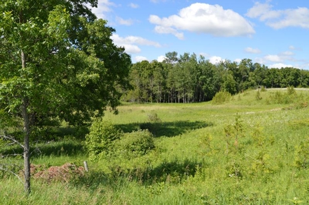 Online Only Door County Wisconsin Land Auction - image 7