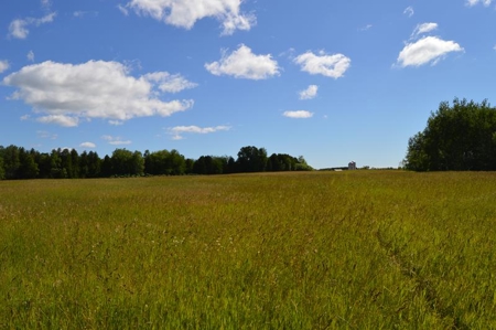 Online Only Door County Wisconsin Land Auction - image 8