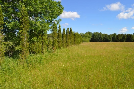 Online Only Door County Wisconsin Land Auction - image 9
