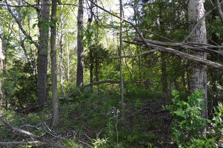 Online Only Door County Wisconsin Land Auction - image 12