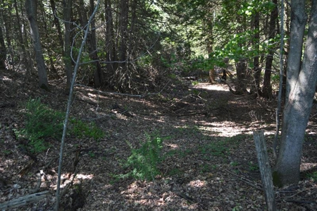 Online Only Door County Wisconsin Land Auction - image 13