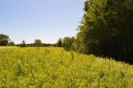 Online Only Door County Wisconsin Land Auction - image 14