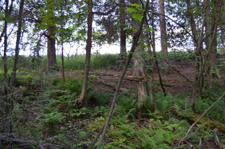 Online Only Door County Wisconsin Land Auction - image 17
