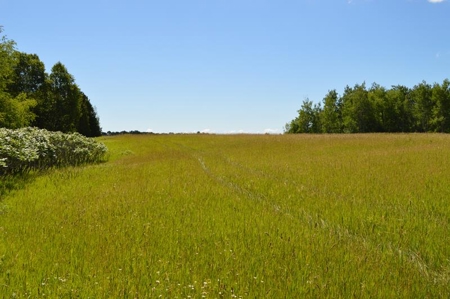 Online Only Door County Wisconsin Land Auction - image 18