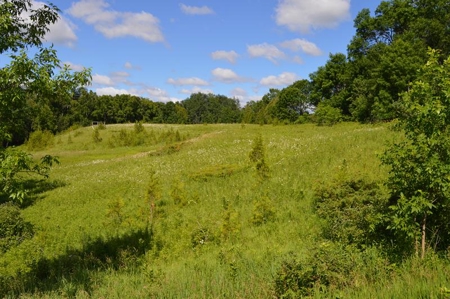 Online Only Door County Wisconsin Land Auction - image 19