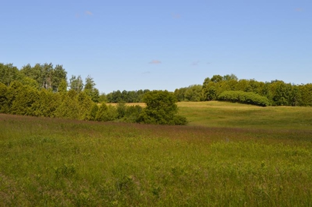 Online Only Door County Wisconsin Land Auction - image 20