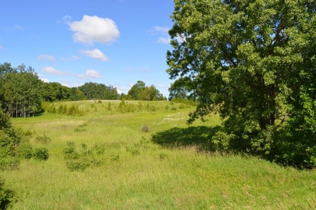 Online Only Door County Wisconsin Land Auction - image 22