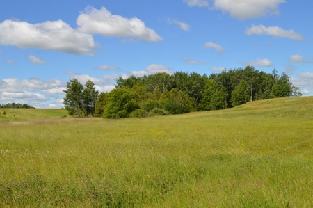 Online Only Door County Wisconsin Land Auction - image 25
