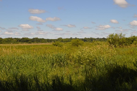 Online Only Marquette County Wisconsin Land Auction - image 1