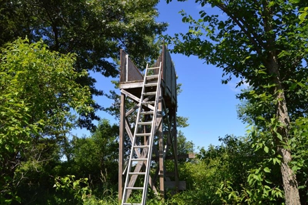 Online Only Marquette County Wisconsin Land Auction - image 2