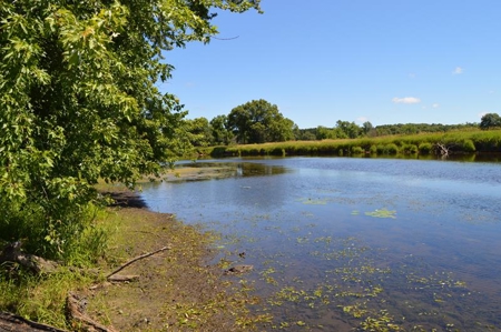 Online Only Marquette County Wisconsin Land Auction - image 3