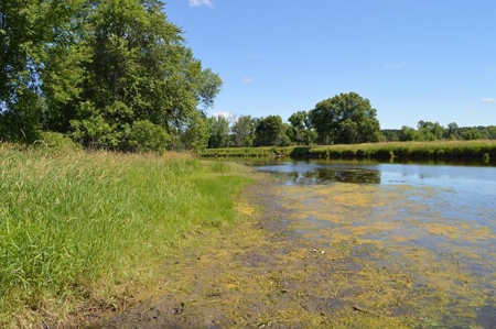 Online Only Marquette County Wisconsin Land Auction - image 6