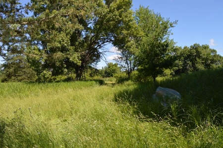 Online Only Marquette County Wisconsin Land Auction - image 8