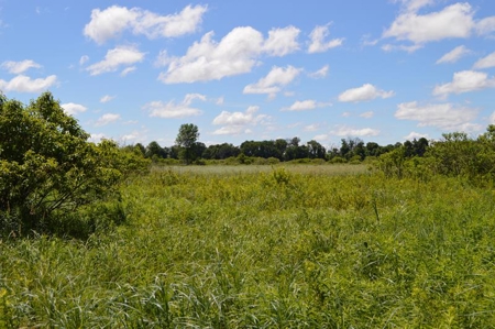 Online Only Marquette County Wisconsin Land Auction - image 9