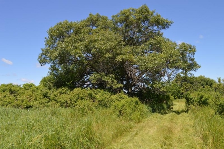 Online Only Marquette County Wisconsin Land Auction - image 13