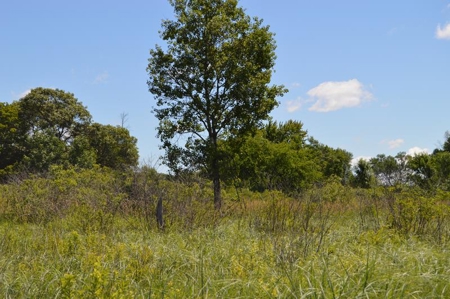 Online Only Marquette County Wisconsin Land Auction - image 15