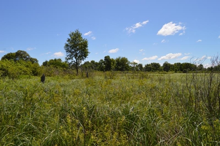 Online Only Marquette County Wisconsin Land Auction - image 16