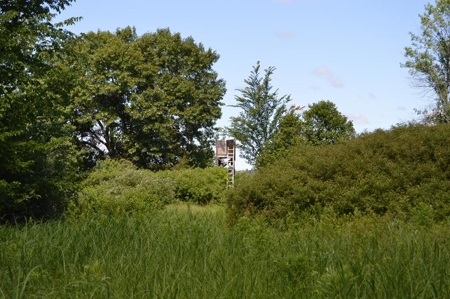 Online Only Marquette County Wisconsin Land Auction - image 18
