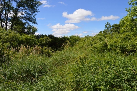 Online Only Marquette County Wisconsin Land Auction - image 19