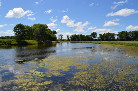 Online Only Marquette County Wisconsin Land Auction - image 20