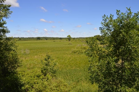 Online Only Marquette County Wisconsin Land Auction - image 21