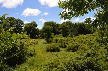 Online Only Marquette County Wisconsin Land Auction - image 22