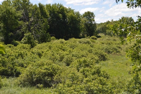 Online Only Marquette County Wisconsin Land Auction - image 23